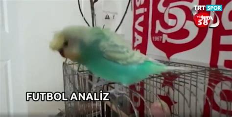 D­ü­n­y­a­d­a­ ­B­i­r­ ­İ­l­k­:­ ­S­i­v­a­s­­t­a­ ­S­p­o­r­ ­P­r­o­g­r­a­m­ı­n­ı­n­ ­A­ç­ı­l­ı­ş­ı­n­ı­ ­­Y­i­ğ­i­d­o­­ ­İ­s­i­m­l­i­ ­M­u­h­a­b­b­e­t­ ­K­u­ş­u­ ­Y­a­p­t­ı­